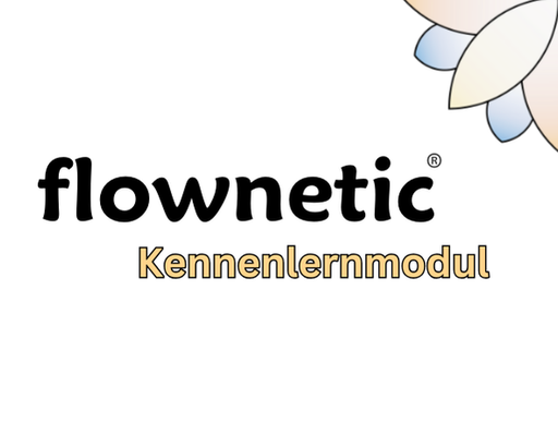 flownetic® Kennenlernmodul